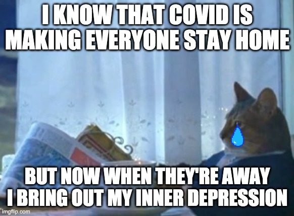 lonleeeeeey i am loooonleeeeey | I KNOW THAT COVID IS MAKING EVERYONE STAY HOME; BUT NOW WHEN THEY'RE AWAY I BRING OUT MY INNER DEPRESSION | image tagged in memes,i should buy a boat cat | made w/ Imgflip meme maker