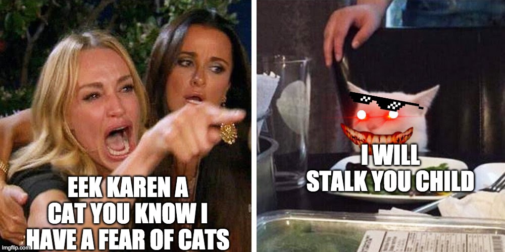 well this will haunt me | I WILL STALK YOU CHILD; EEK KAREN A CAT YOU KNOW I HAVE A FEAR OF CATS | image tagged in smudge the cat | made w/ Imgflip meme maker