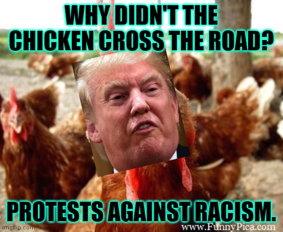 Bunker Boy. | WHY DIDN'T THE CHICKEN CROSS THE ROAD? PROTESTS AGAINST RACISM. | image tagged in chicken,memes,bunker boy,i can't breathe,racist trump | made w/ Imgflip meme maker