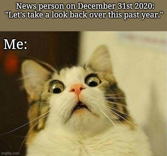 Scared Cat | News person on December 31st 2020: "Let's take a look back over this past year."; Me: | image tagged in memes,scared cat | made w/ Imgflip meme maker