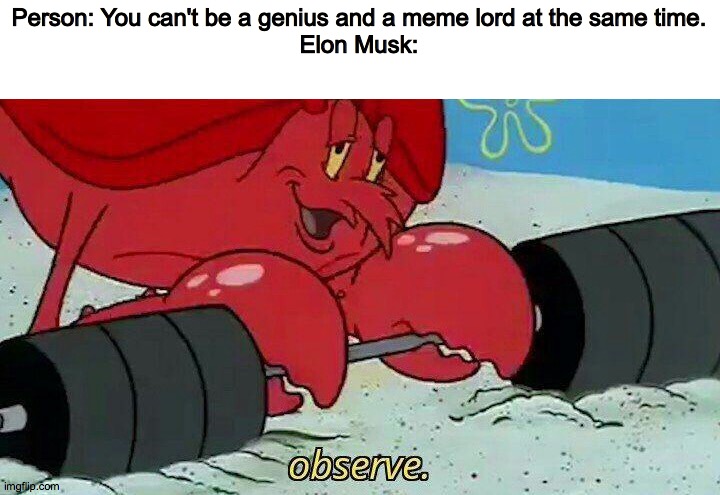 Observe | Person: You can't be a genius and a meme lord at the same time.
Elon Musk: | image tagged in observe,elon musk | made w/ Imgflip meme maker
