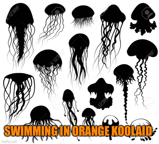 SWIMMING IN ORANGE KOOLAID | made w/ Imgflip meme maker