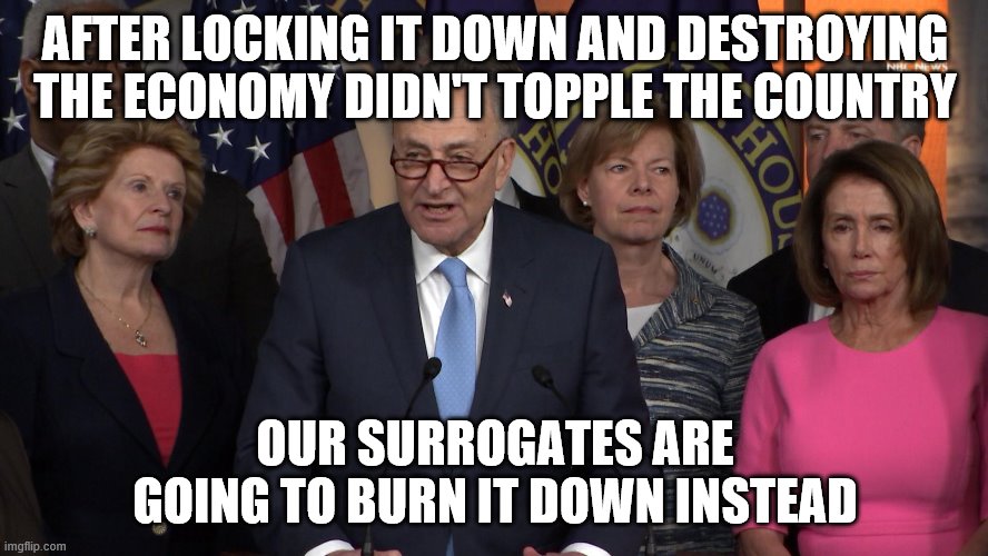 Democrat congressmen | AFTER LOCKING IT DOWN AND DESTROYING THE ECONOMY DIDN'T TOPPLE THE COUNTRY; OUR SURROGATES ARE GOING TO BURN IT DOWN INSTEAD | image tagged in democrat congressmen | made w/ Imgflip meme maker