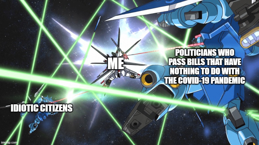 Strike Freedom vs. [Blank] | POLITICIANS WHO PASS BILLS THAT HAVE NOTHING TO DO WITH THE COVID-19 PANDEMIC; ME; IDIOTIC CITIZENS | image tagged in strike freedom vs blank | made w/ Imgflip meme maker