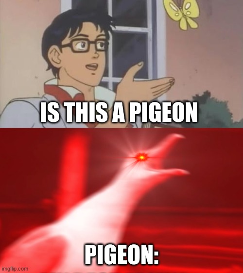 is this a pigeon (ik this is a seagull) | IS THIS A PIGEON; PIGEON: | image tagged in is this a pigeon | made w/ Imgflip meme maker