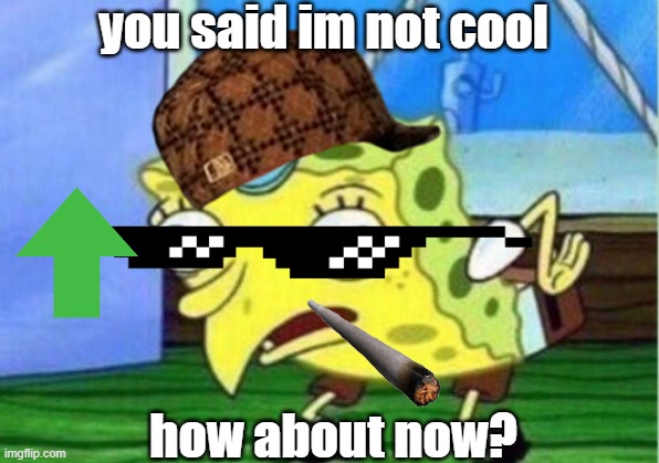 Mocking Spongebob Meme | you said im not cool; how about now? | image tagged in memes,mocking spongebob | made w/ Imgflip meme maker