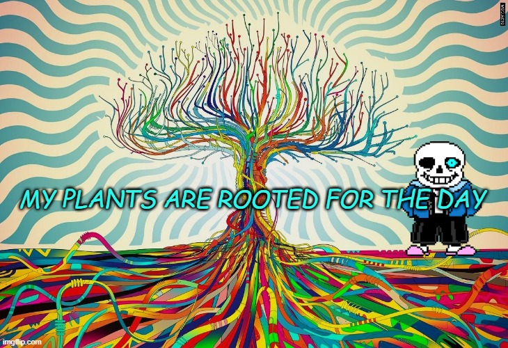 MY PLANTS ARE ROOTED FOR THE DAY | made w/ Imgflip meme maker