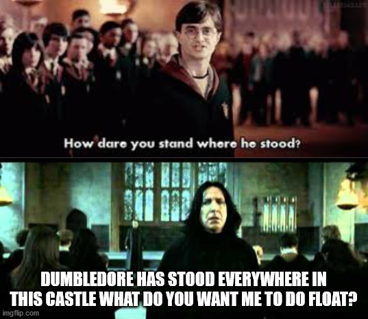 Snape | DUMBLEDORE HAS STOOD EVERYWHERE IN THIS CASTLE WHAT DO YOU WANT ME TO DO FLOAT? | image tagged in how dare you stand where he stood | made w/ Imgflip meme maker
