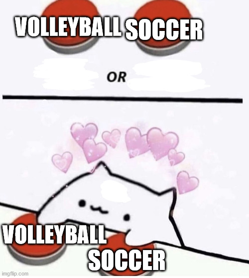 Cat pressing two buttons | SOCCER; VOLLEYBALL; SOCCER; VOLLEYBALL | image tagged in cat pressing two buttons | made w/ Imgflip meme maker