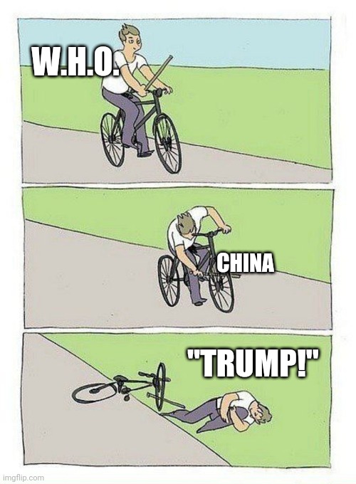 Trump's fault 1 | W.H.O. CHINA; "TRUMP!" | image tagged in bike fall,who,trump meme,china | made w/ Imgflip meme maker