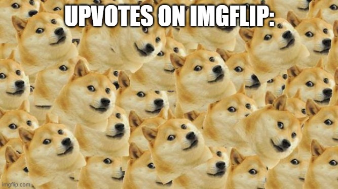 Multi Doge Meme | UPVOTES ON IMGFLIP: | image tagged in memes,multi doge | made w/ Imgflip meme maker