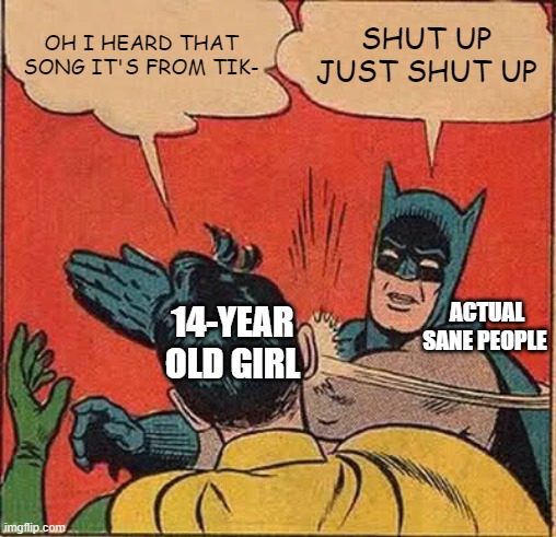 annoying | OH I HEARD THAT SONG IT'S FROM TIK-; SHUT UP JUST SHUT UP; ACTUAL SANE PEOPLE; 14-YEAR OLD GIRL | image tagged in memes,batman slapping robin | made w/ Imgflip meme maker