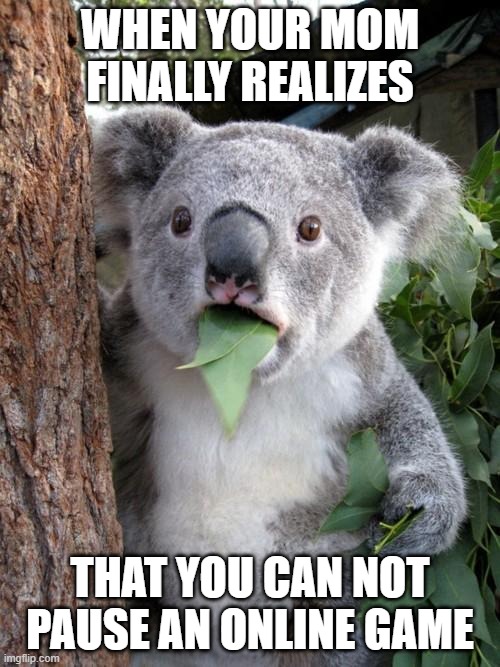 oh may gawwd | WHEN YOUR MOM FINALLY REALIZES; THAT YOU CAN NOT PAUSE AN ONLINE GAME | image tagged in memes,surprised koala | made w/ Imgflip meme maker