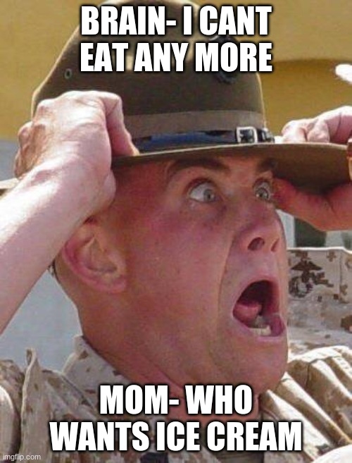 Marine Drill Sergeant  | BRAIN- I CANT EAT ANY MORE; MOM- WHO WANTS ICE CREAM | image tagged in marine drill sergeant | made w/ Imgflip meme maker