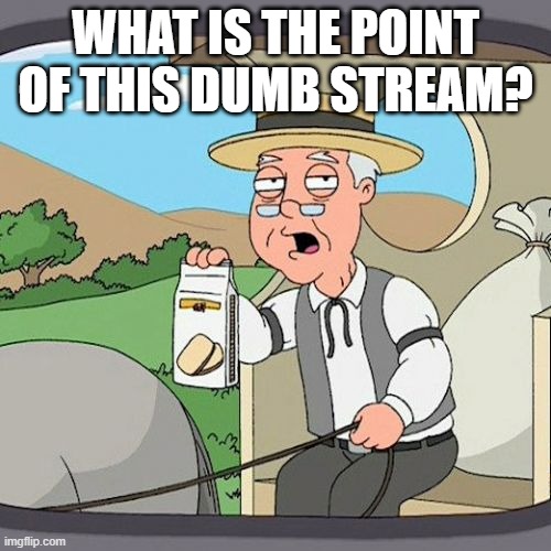 Pepperidge Farm Remembers | WHAT IS THE POINT OF THIS DUMB STREAM? | image tagged in memes,pepperidge farm remembers | made w/ Imgflip meme maker