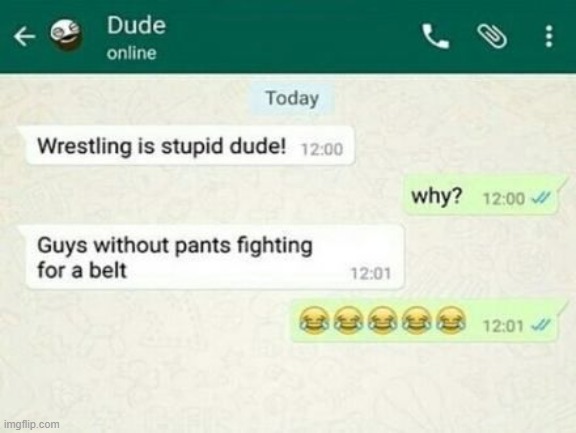 wrestling | image tagged in wrestling | made w/ Imgflip meme maker