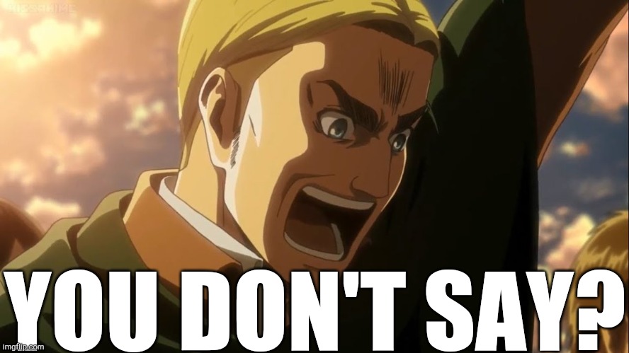 ERWIN | YOU DON'T SAY? | image tagged in erwin | made w/ Imgflip meme maker