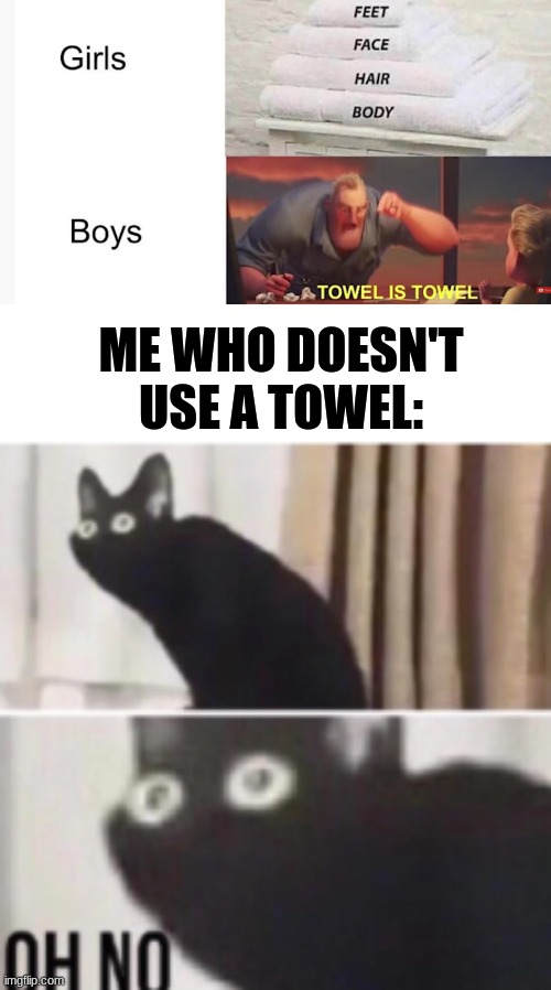 [heavy breathing] | ME WHO DOESN'T USE A TOWEL: | image tagged in oh no cat,oh wow are you actually reading these tags | made w/ Imgflip meme maker