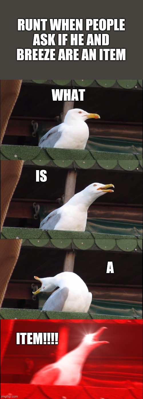 Inhaling Seagull | RUNT WHEN PEOPLE ASK IF HE AND BREEZE ARE AN ITEM; WHAT; IS; A; ITEM!!!! | image tagged in memes,inhaling seagull | made w/ Imgflip meme maker
