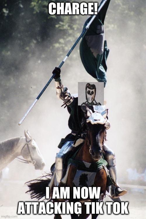 Knight on Horseback Charging with Flag | CHARGE! I AM NOW ATTACKING TIK TOK | image tagged in knight on horseback charging with flag | made w/ Imgflip meme maker