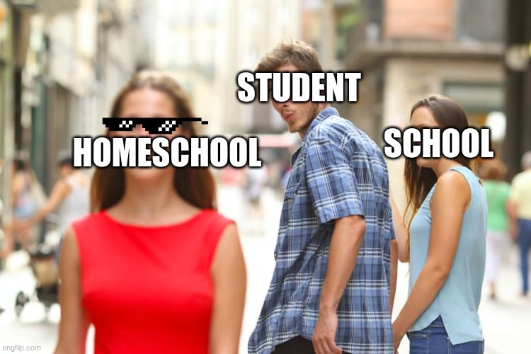 homschool v school | STUDENT; HOMESCHOOL; SCHOOL | image tagged in memes,distracted boyfriend | made w/ Imgflip meme maker