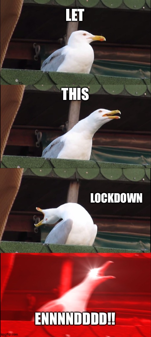The new normal | LET; THIS; LOCKDOWN; ENNNNDDDD!! | image tagged in memes,inhaling seagull | made w/ Imgflip meme maker