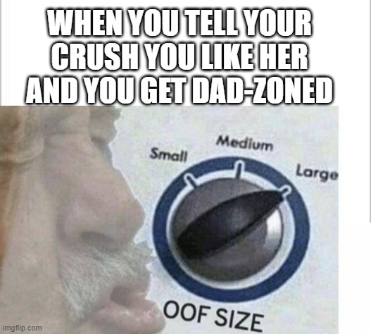 That's gotta hurt | WHEN YOU TELL YOUR CRUSH YOU LIKE HER AND YOU GET DAD-ZONED | image tagged in white background | made w/ Imgflip meme maker