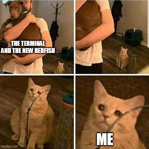 Sad Cat Holding Dog | THE TERMINAL AND THE NEW REDFISH; ME | image tagged in sad cat holding dog | made w/ Imgflip meme maker