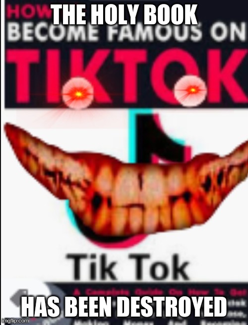 noooooooooooo | THE HOLY BOOK; HAS BEEN DESTROYED | image tagged in tik tok book | made w/ Imgflip meme maker