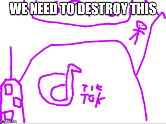 needs 2 be destroyed | WE NEED TO DESTROY THIS | image tagged in tik tok | made w/ Imgflip meme maker