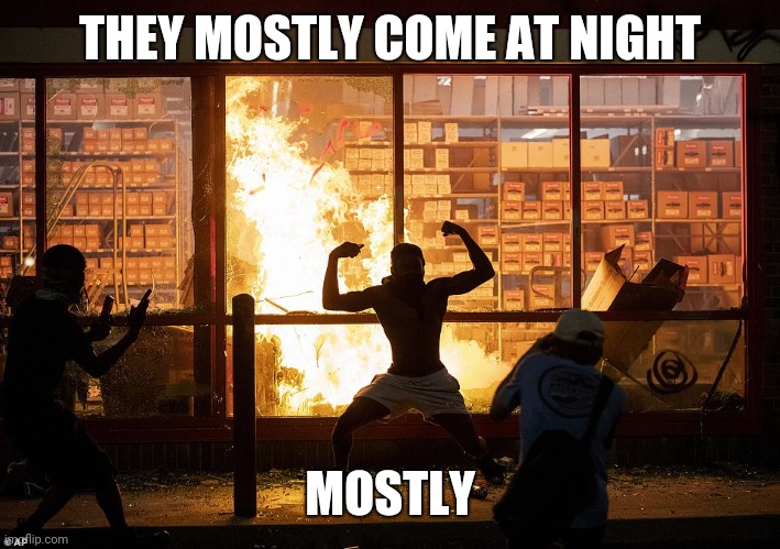 Looter AutoZone Minneapolis | THEY MOSTLY COME AT NIGHT; MOSTLY | image tagged in looter autozone minneapolis | made w/ Imgflip meme maker