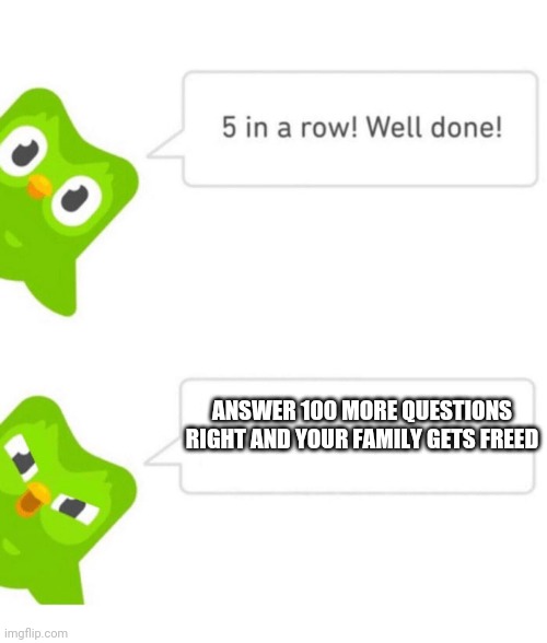 Duolingo 5 in a row | ANSWER 100 MORE QUESTIONS RIGHT AND YOUR FAMILY GETS FREED | image tagged in duolingo 5 in a row | made w/ Imgflip meme maker