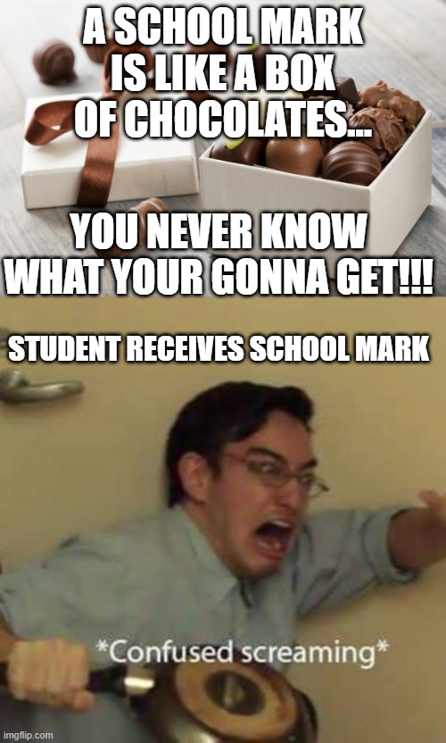 Lol this meme is for those of you who suck at school... | A SCHOOL MARK IS LIKE A BOX OF CHOCOLATES... YOU NEVER KNOW WHAT YOUR GONNA GET!!! STUDENT RECEIVES SCHOOL MARK | image tagged in confused screaming,forrest gump box of chocolates,memes,funny,school | made w/ Imgflip meme maker