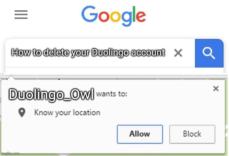 Wants to know your location | How to delete your Duolingo account; Duolingo_Owl | image tagged in wants to know your location | made w/ Imgflip meme maker