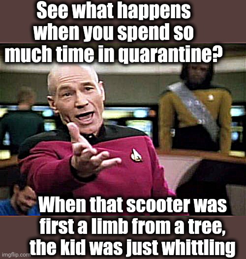 Picard Wtf Meme | See what happens when you spend so much time in quarantine? When that scooter was first a limb from a tree, the kid was just whittling | image tagged in memes,picard wtf | made w/ Imgflip meme maker