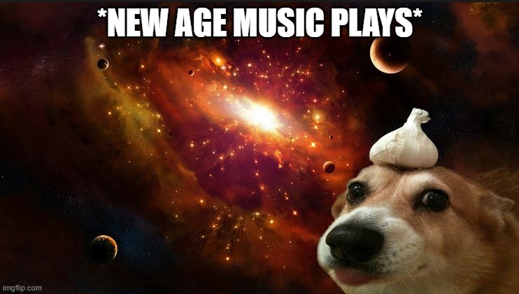 Dog with a garlic on his head | *NEW AGE MUSIC PLAYS* | image tagged in dog with a garlic on his head | made w/ Imgflip meme maker
