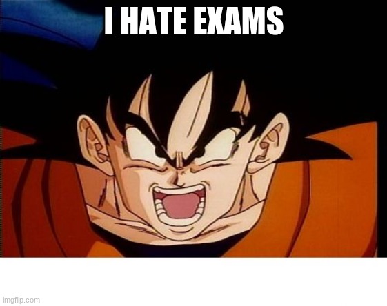 Crosseyed Goku Meme | I HATE EXAMS | image tagged in memes,crosseyed goku | made w/ Imgflip meme maker