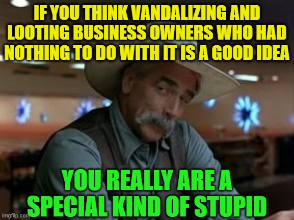 special kind of stupid | IF YOU THINK VANDALIZING AND LOOTING BUSINESS OWNERS WHO HAD NOTHING TO DO WITH IT IS A GOOD IDEA YOU REALLY ARE A SPECIAL KIND OF STUPID | image tagged in special kind of stupid | made w/ Imgflip meme maker