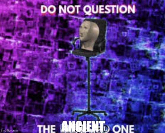 Do not question the elevated one | ANCIENT | image tagged in do not question the elevated one | made w/ Imgflip meme maker