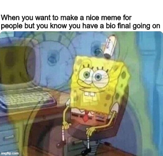 Right now actually | When you want to make a nice meme for people but you know you have a bio final going on | image tagged in spongebob | made w/ Imgflip meme maker