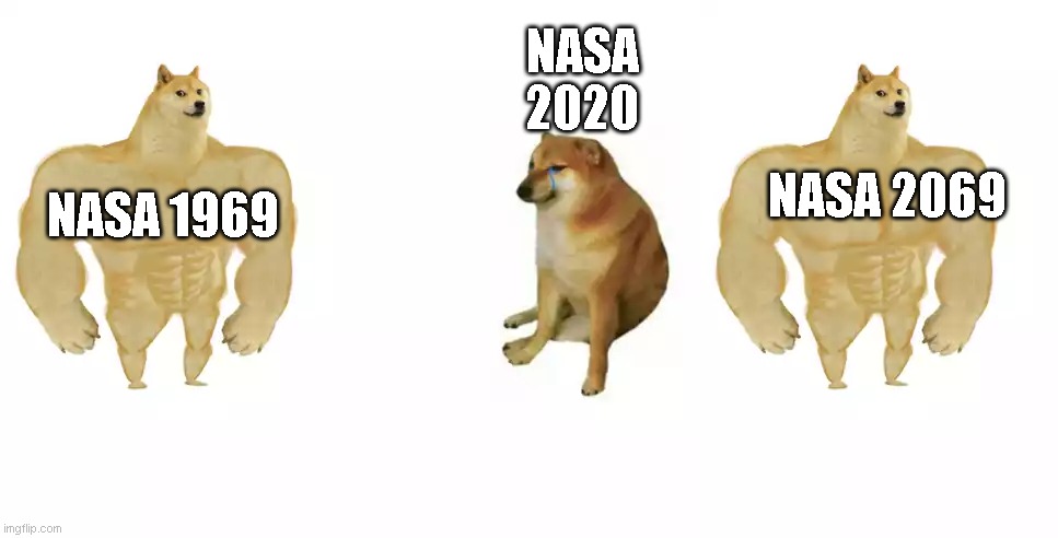 My spicy prediction | NASA 2020; NASA 2069; NASA 1969 | image tagged in buff doge vs cheems | made w/ Imgflip meme maker