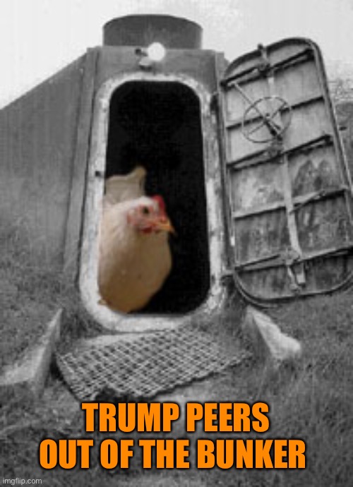 TRUMP PEERS OUT OF THE BUNKER | made w/ Imgflip meme maker