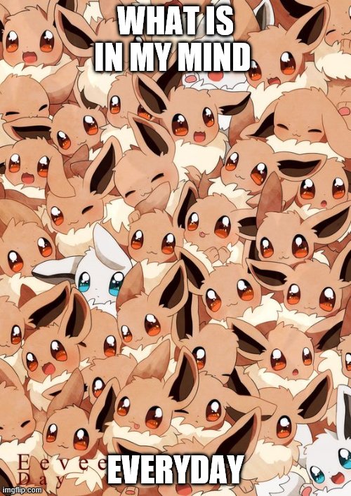 EeveE | WHAT IS IN MY MIND; EVERYDAY | image tagged in eevee | made w/ Imgflip meme maker