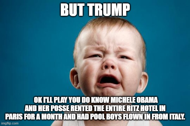 BABY CRYING | BUT TRUMP OK I'LL PLAY YOU DO KNOW MICHELE OBAMA AND HER POSSE RENTED THE ENTIRE RITZ HOTEL IN PARIS FOR A MONTH AND HAD POOL BOYS FLOWN IN  | image tagged in baby crying | made w/ Imgflip meme maker