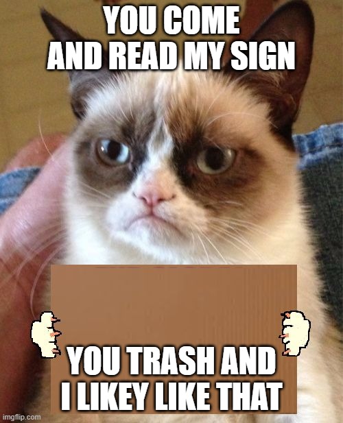 Grumpy Cat Cardboard Sign | YOU COME AND READ MY SIGN; YOU TRASH AND I LIKEY LIKE THAT | image tagged in grumpy cat cardboard sign | made w/ Imgflip meme maker