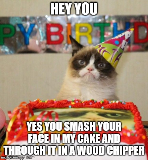 Grumpy Cat Birthday Meme | HEY YOU; YES YOU SMASH YOUR FACE IN MY CAKE AND THROUGH IT IN A WOOD CHIPPER | image tagged in memes,grumpy cat birthday,grumpy cat | made w/ Imgflip meme maker