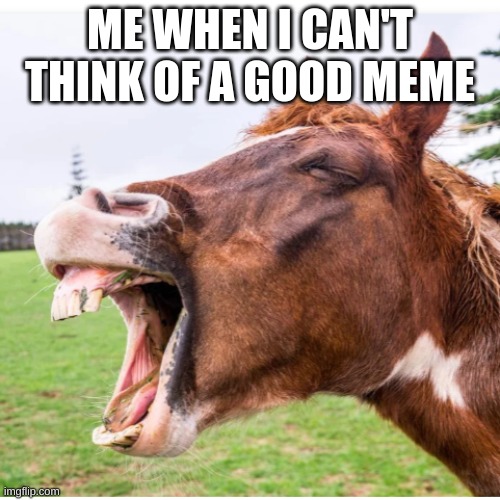 idk lol | ME WHEN I CAN'T THINK OF A GOOD MEME | image tagged in horse | made w/ Imgflip meme maker