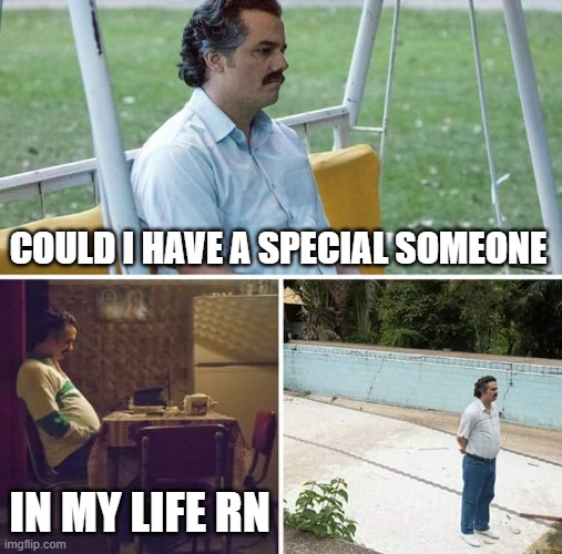 Sad Pablo Escobar | COULD I HAVE A SPECIAL SOMEONE; IN MY LIFE RN | image tagged in memes,sad pablo escobar,single | made w/ Imgflip meme maker