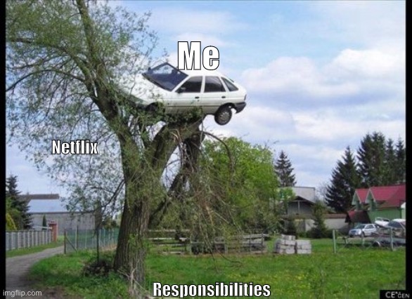 Secure Parking | Me; Netflix; Responsibilities | image tagged in memes,secure parking | made w/ Imgflip meme maker