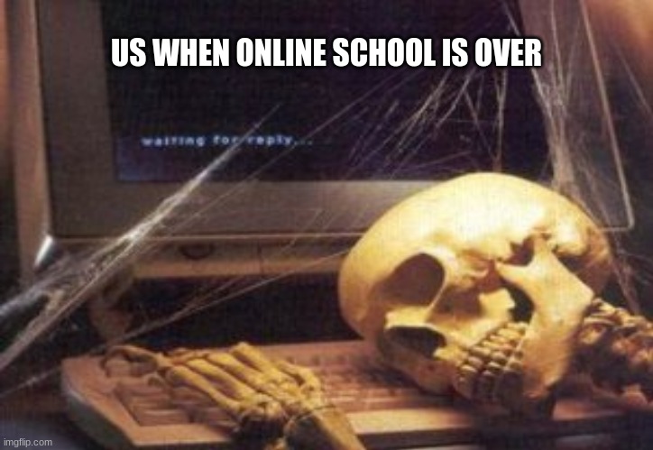 US WHEN ONLINE SCHOOL IS OVER | image tagged in dead | made w/ Imgflip meme maker
